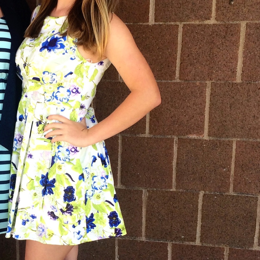 Floral Pleated Skirt Dress